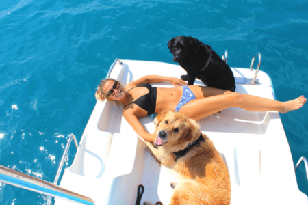 deux chiens sur un pédalo avec Sophie