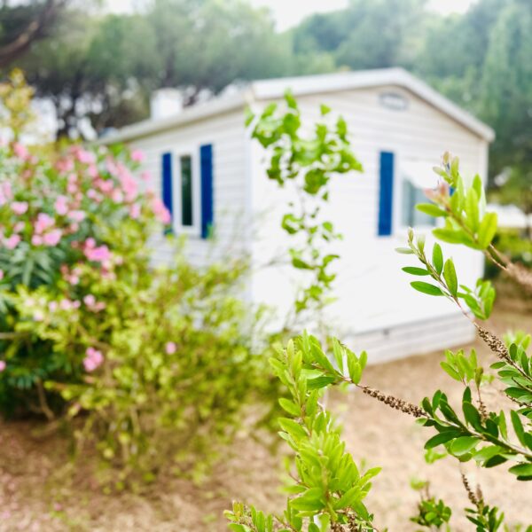 Mobil home au camping Figurotta 3* près de Narbonne dans l'Aude