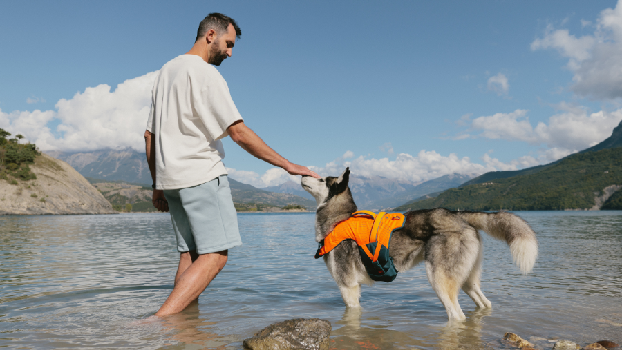 test du gilet de flottaison pour chien Decathlon sur un grand chien taille husky