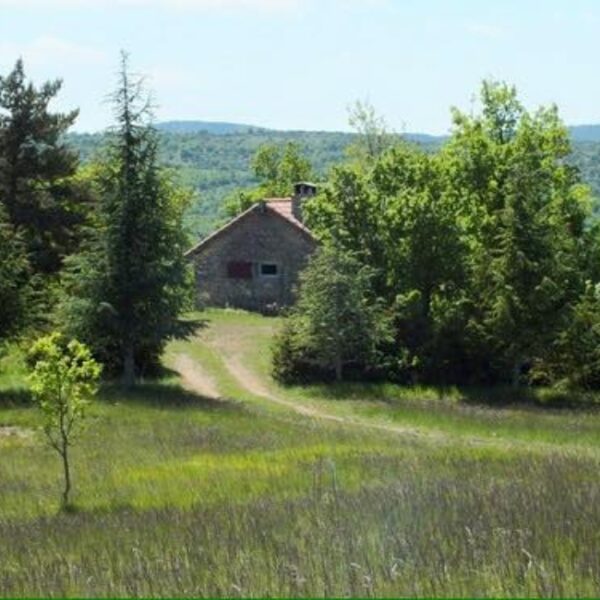 Gîte les Vautours en Aveyron dans le Parc naturel Grands Causses