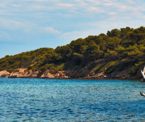 Île du Levant où les chiens sont acceptés, à Hyères, dans le Var, en Provence-Alpes-Côte d'Azur