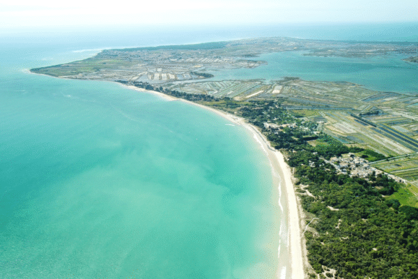 Découvrir l’Île de Ré avec son chien