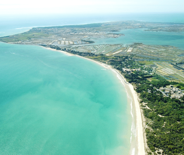 L'île de Ré où les chiens sont acceptés, en Charente-Maritime, en Nouvelle-Aquitaine