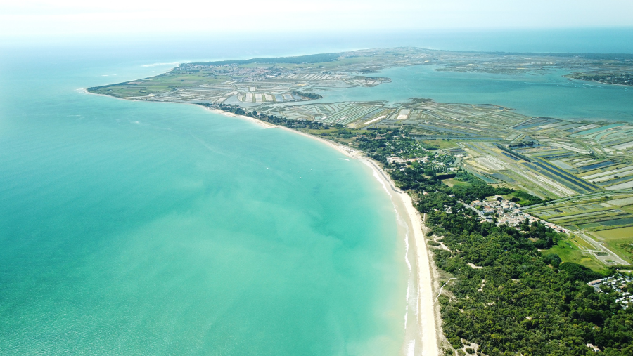Découvrir l’Île de Ré avec son chien