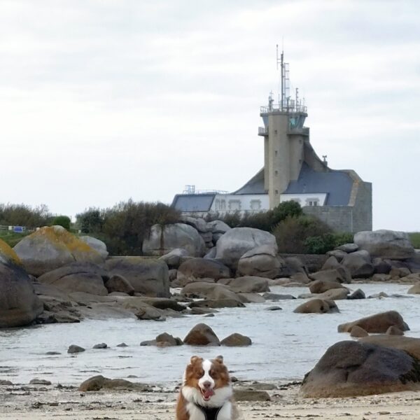 Patrimoine historique autour du Camping Côte des Légendes dans le Finistère en Bretagne