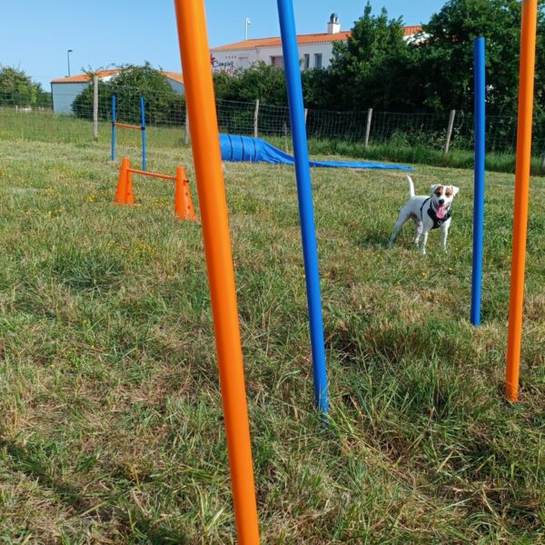 Camping Europa
