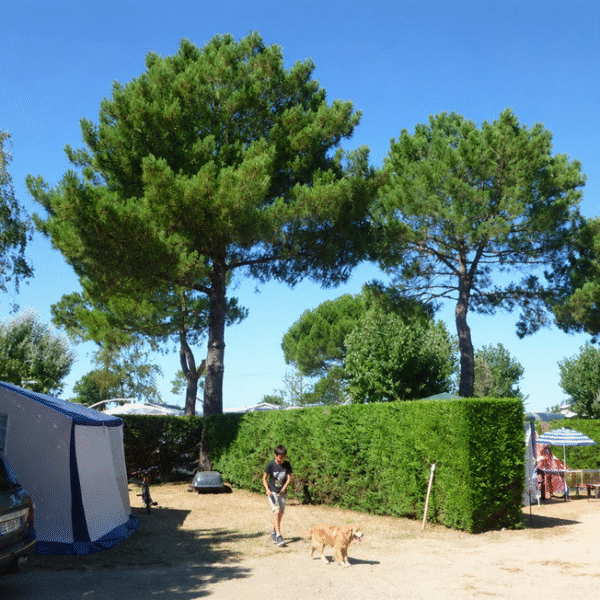 Camping Europa