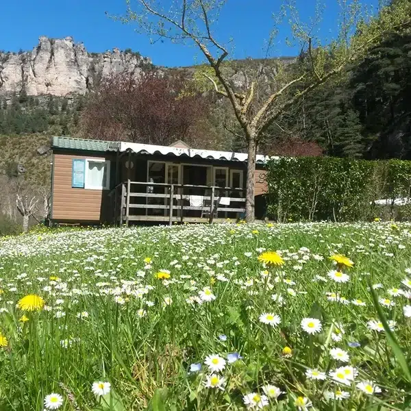 Chalet du Camping le Capelan en Lozère au coeur des Cévennes dans les Gorges du Tarn à Meyrueis