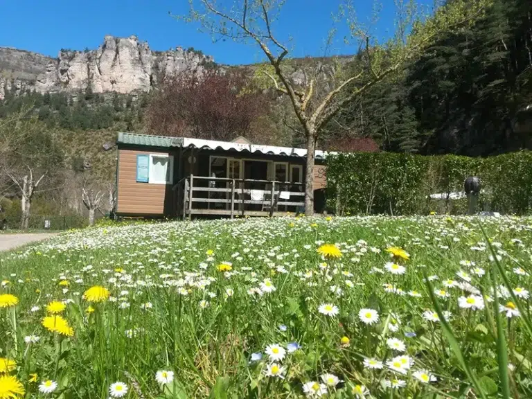Chalet du Camping le Capelan en Lozère au coeur des Cévennes dans les Gorges du Tarn à Meyrueis