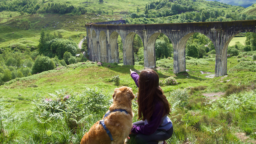 Pont de Harry Potter à voir avec son chien en Ecosse sur le Grennfinnan Viaduc