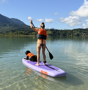 activité nautique avec un chien : paddle