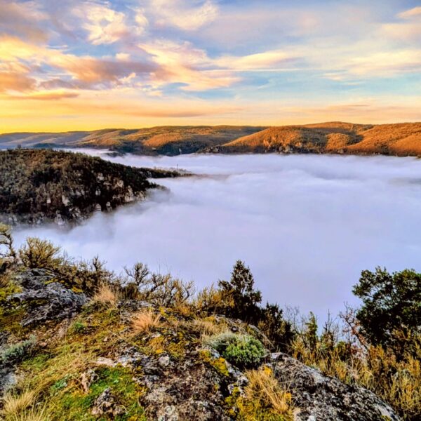 Mer de nuages dans la nature proche du Gîte les Vautours en Aveyron dans le Parc naturel Grands Causses