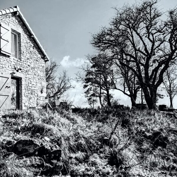 Gîte les Vautours en Aveyron dans le Parc naturel Grands Causses