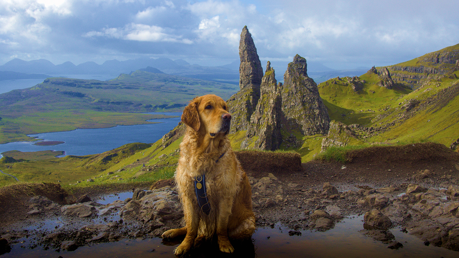 Visiter l'ile de Skye en Ecosse avec son chien - la magnifique montagne Old Man of Storr