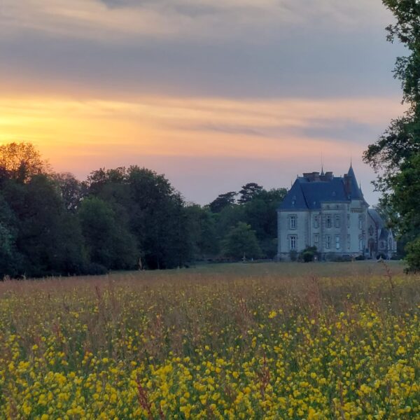 Le domaine en pleine nature du Gîte Le Pavillon de Chasse au Petit Brusson dans les Deux Sèvres à Pamplie proche de Niort