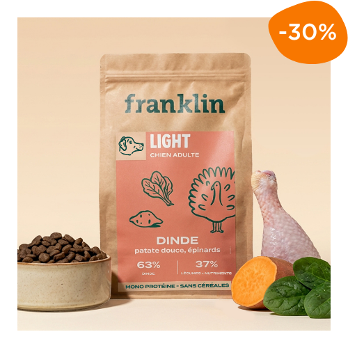 croquettes pour aider à maigrir pour chien Franklin