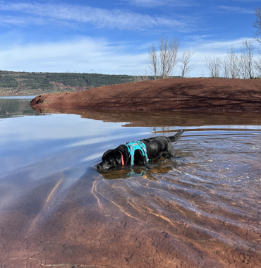 Musher au Lac du Salagou, dans l'Hérault, en Occitanie