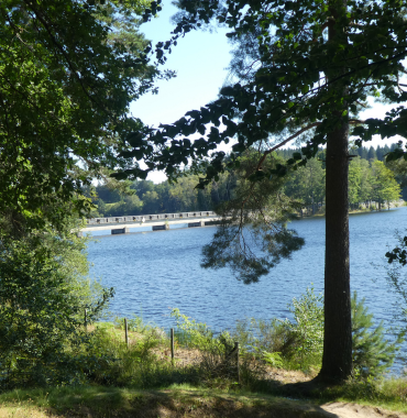 Lac de Vassivière où les chiens sont acceptés, à Beaumont-du-Lac, en Haute-Vienne, en Nouvelle-Aquitaine