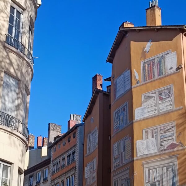 Les bâtiments de Lyon avec Lilo Médiation : Visite guidée de Lyon dans le Rhône