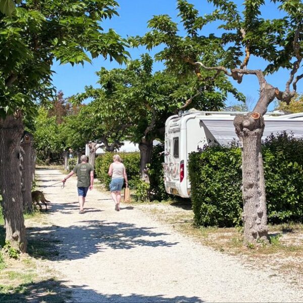 Allée ensoleillée du Camping Beau Séjour dans Le Lavandou dans le Var Var