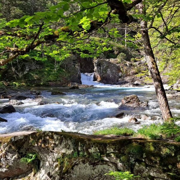 Rivière à côté du camping Pyrénées Natura Flower dans les Hautes-Pyrénées