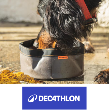 chien boit dans gamelle pliable decathlon