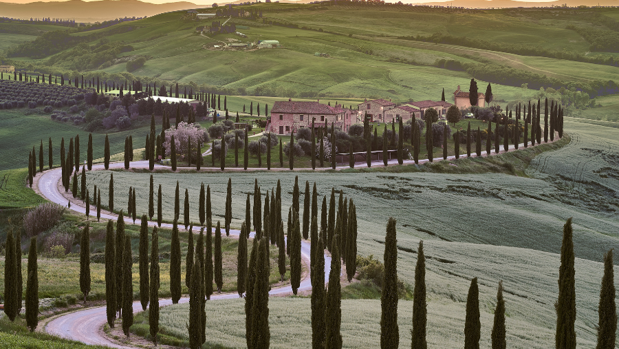 La Toscane où les chiens sont les bienvenus, en Italie