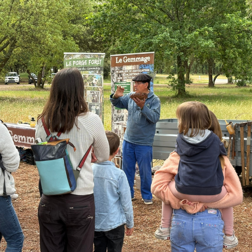 présentation du gemmage en groupe avec un chien en Médoc Plein Sud - itinéraire de vacances