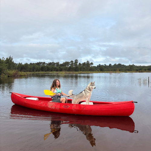 canoë avec un chien sur le canal des étangs du porge - itinéraire de voyage en médoc plein sud en gironde