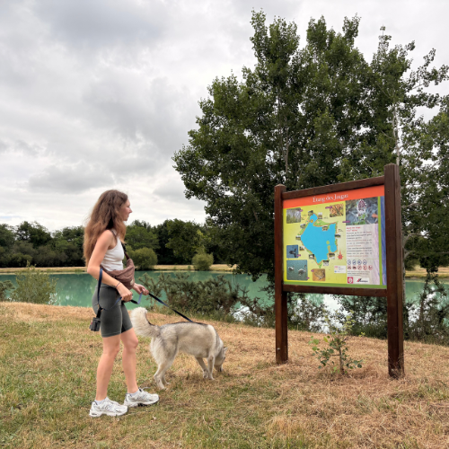 étangs d'avensan pour voir les oiseaux en médoc plein sud avec son chien pendant les vacances