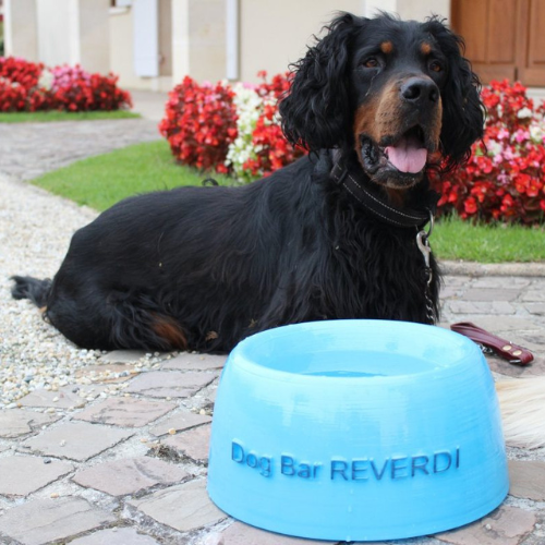 gamelle d'eau pour chien à disposition au château viticole dog-friendly Reverdi en Médoc plein sud à visiter pendant l'itinéraire