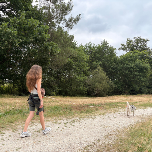 boucle en forêt pour courir avec son chien en médoc plein sud pendant l'itinéraire de vacances dog-friendly en médoc plein sud