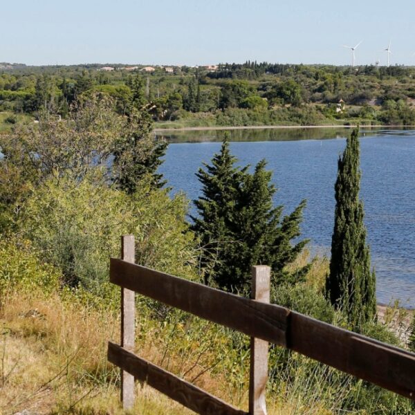 Vue sur l'étang de La Palme près du camping naturiste Le Clapotis à La Palme dans l'Aude (11)