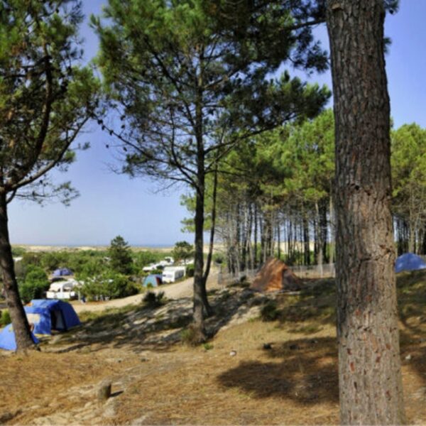 Emplacements du camping naturiste CHM Montalivet 4* en Gironde (33)
