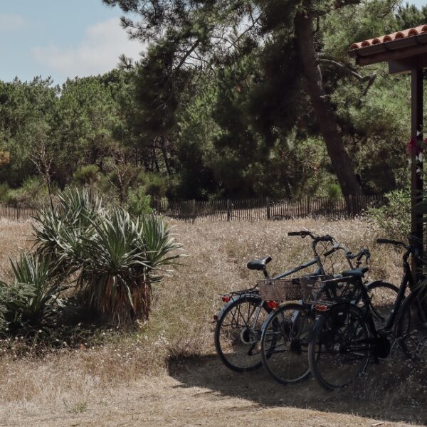 Camping Naturiste CHM Montalivet