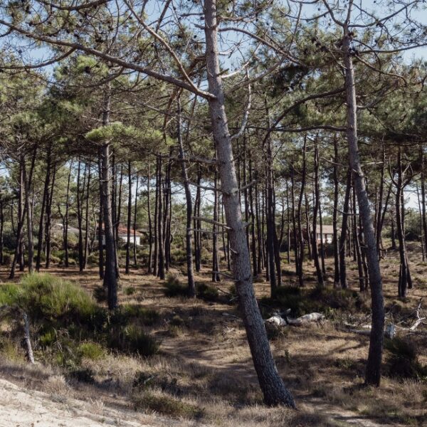 Camping Naturiste CHM Montalivet