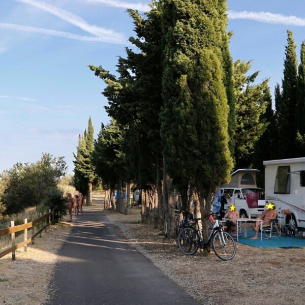 Allée verdoyante au camping naturiste Le Clapotis à La Palme dans l'Aude (11)