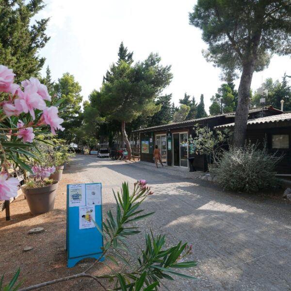 Accueil du camping au camping naturiste Le Clapotis à La Palme dans l'Aude (11)