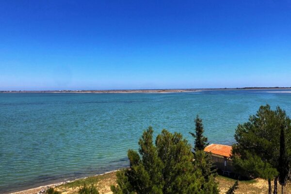 Camping Naturiste Le Clapotis
