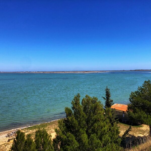 Front de mer ensoleillée au camping naturiste Le Clapotis à La Palme dans l'Aude (11)