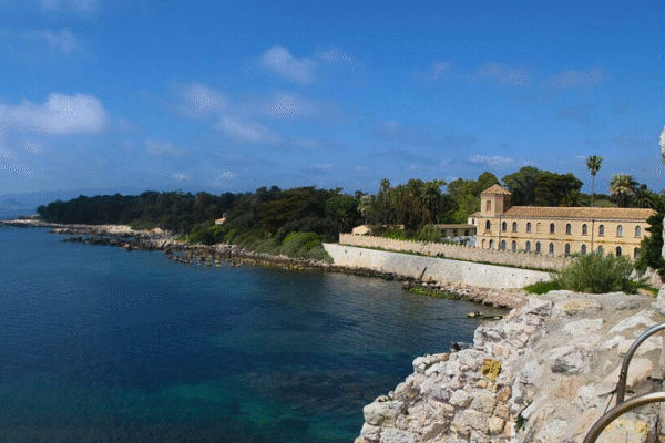 Visiter les Îles de Lérins avec son chien