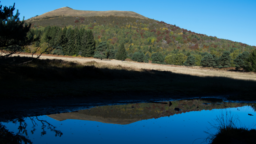 Le Massif du Sancy où les chiens sont les bienvenus, en France