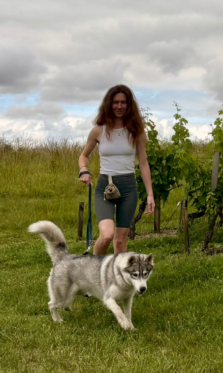 vignoble du Médoc avec un chien - itinéraire de vacances pour un couple ou entre amis