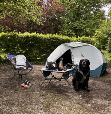 campement avec son chien