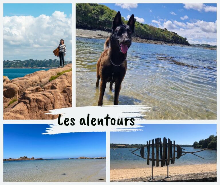 Gîte Chez Nous – photo 3