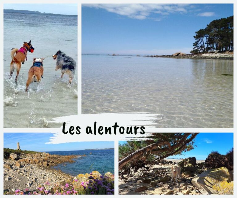 Gîte Chez Nous – photo 8