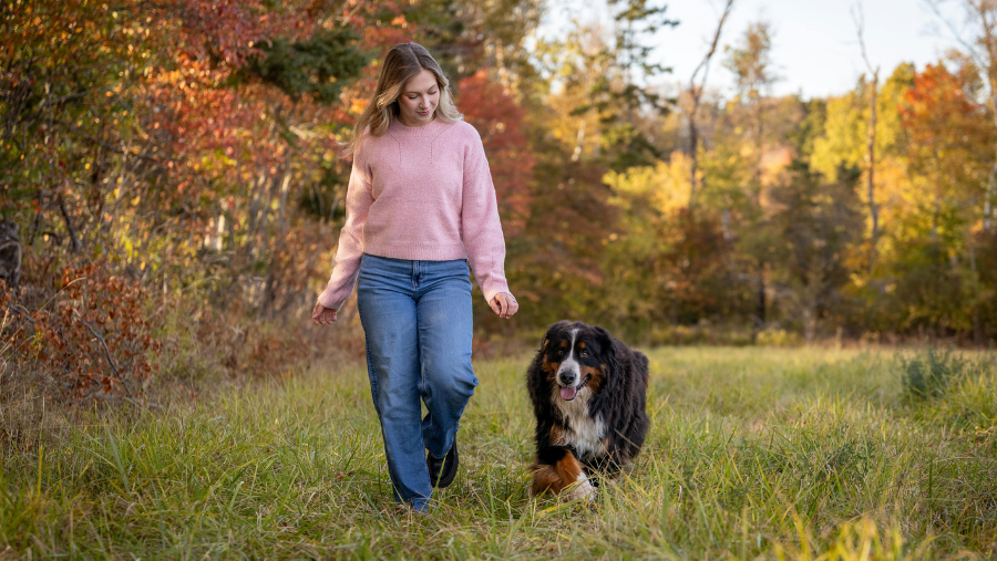 balade au Canada avec le chien
