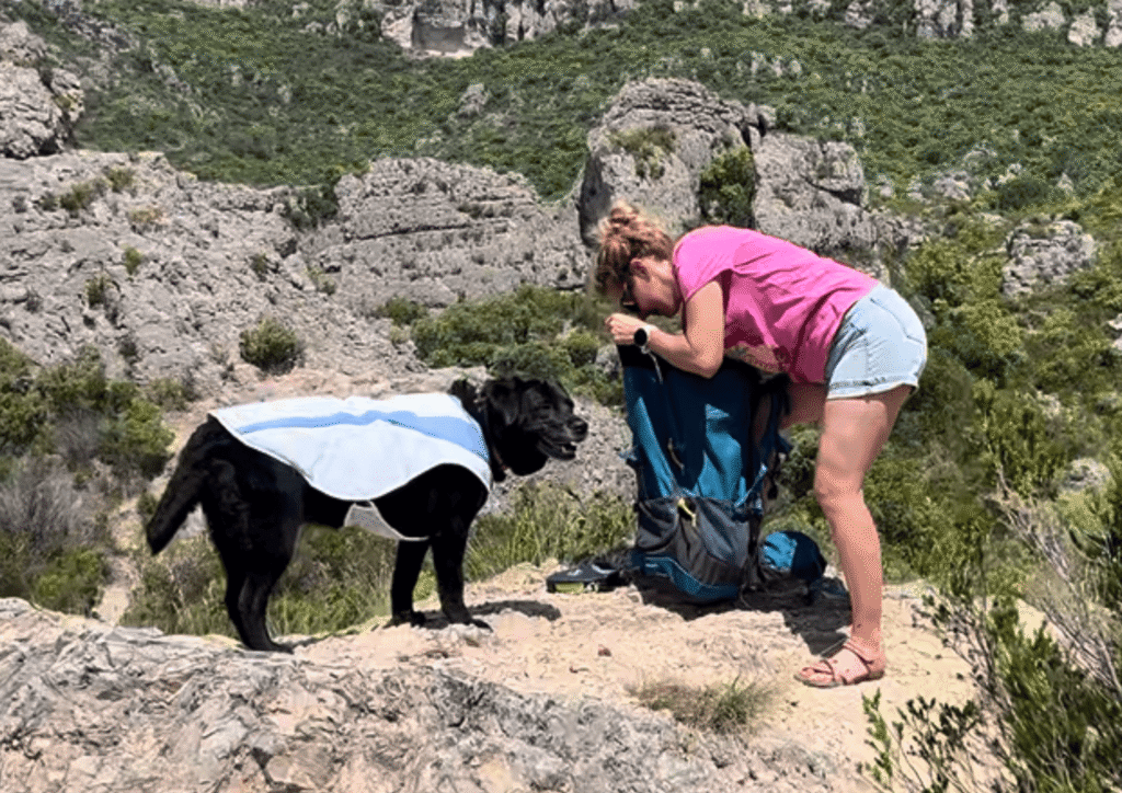 balade chien avec gilet rafraichissant