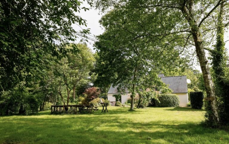 Terrain arboré du Gîte l'Orée du Bois à Le Faouët dans le Morbihan