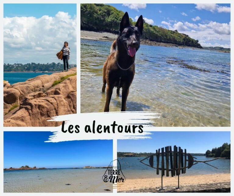 Gîte le Roc’h Jaudy – photo 6